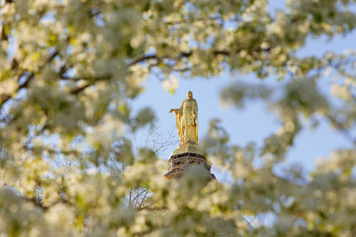Spring at Notre Dame