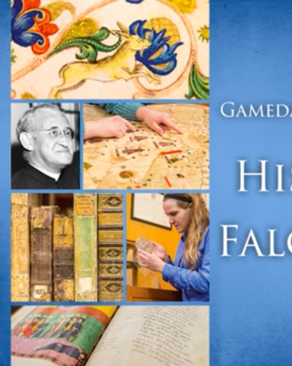 History of Falconry Thumbnail