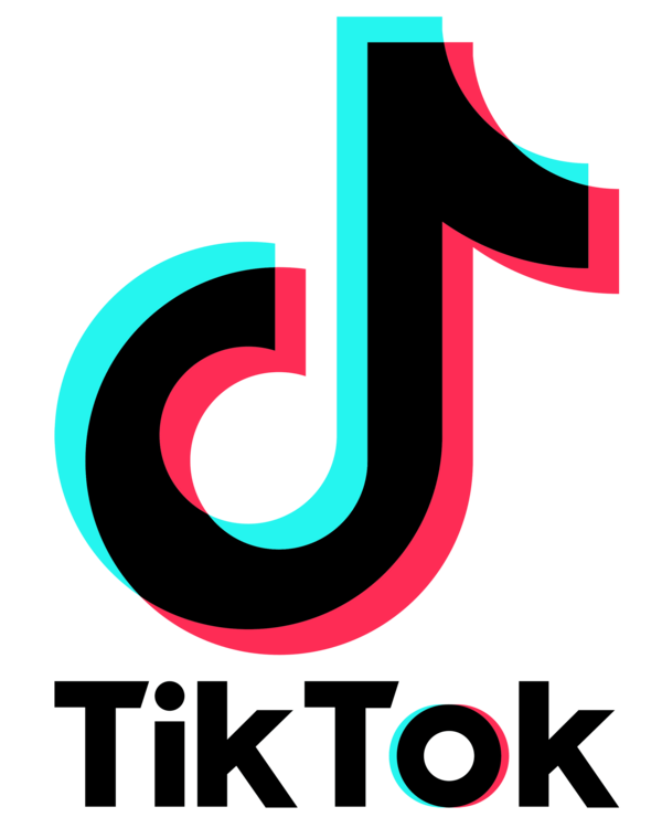 Tiktok Logo image