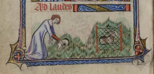 Woman flushes a rabbit from its warren