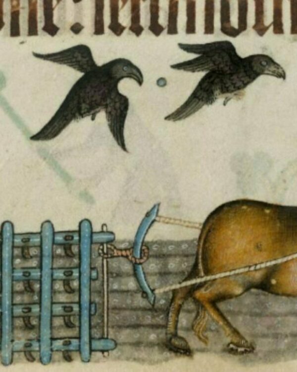 Medieval manuscript page image, showing a farmer plowing a field with two ravens flying above