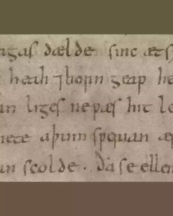 Light brown aged parchment filled with handwritten dark brown text in an old, possibly medieval, script. A slightly torn edge is visible on the left.